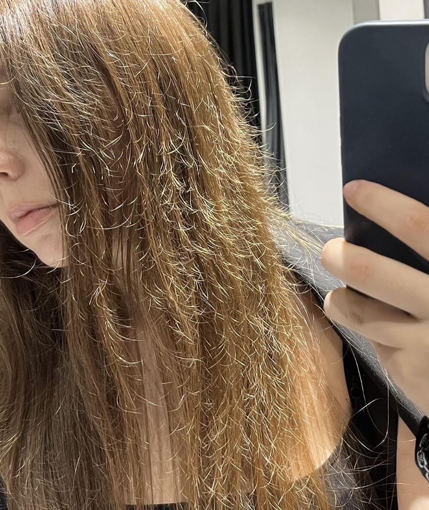 Before using AMELINA — dry frizzy hair